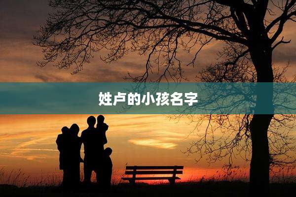 姓卢的小孩名字