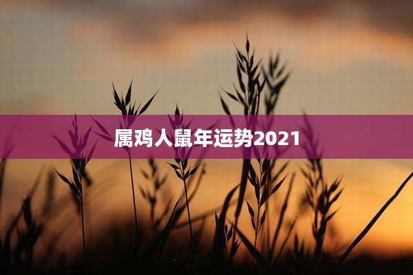 属鸡人鼠年运势2021