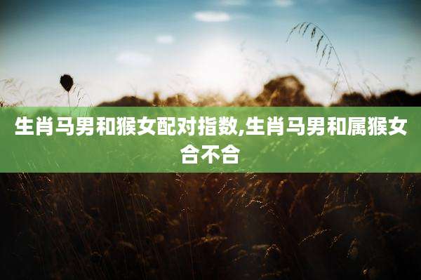 生肖马男和猴女配对指数,生肖马男和属猴女合不合