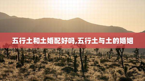 五行土和土婚配好吗,五行土与土的婚姻