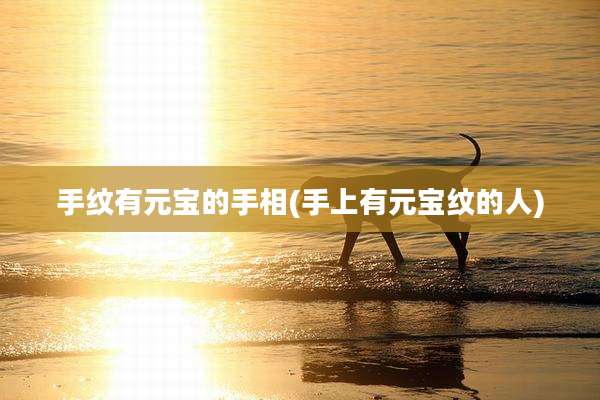 手纹有元宝的手相(手上有元宝纹的人)