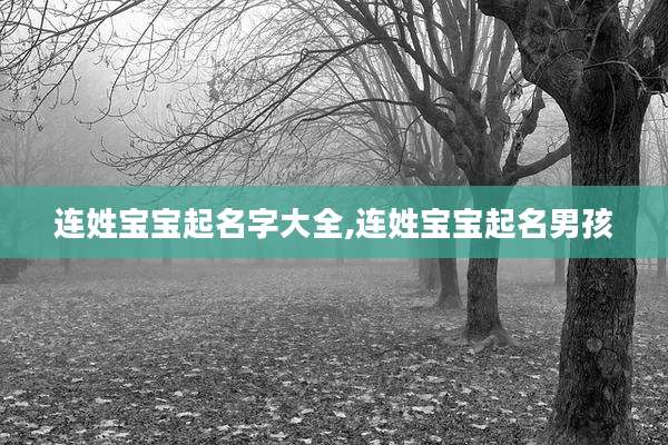 连姓宝宝起名字大全,连姓宝宝起名男孩