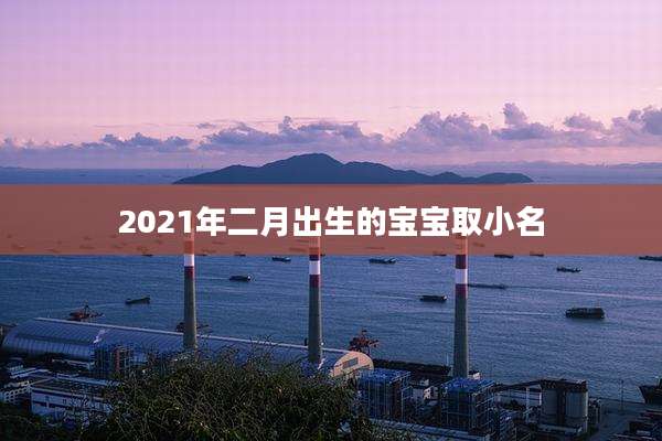 2021年二月出生的宝宝取小名