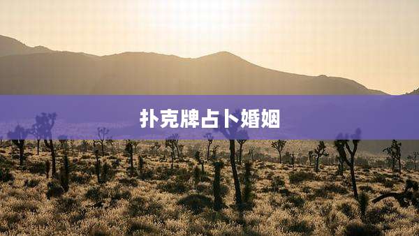 扑克牌占卜婚姻