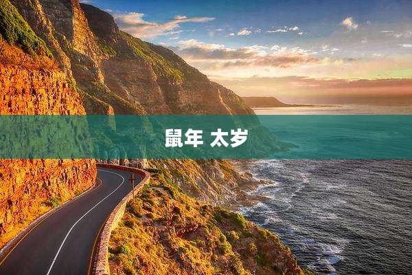 鼠年 太岁