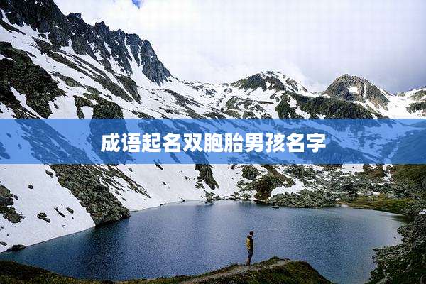 成语起名双胞胎男孩名字
