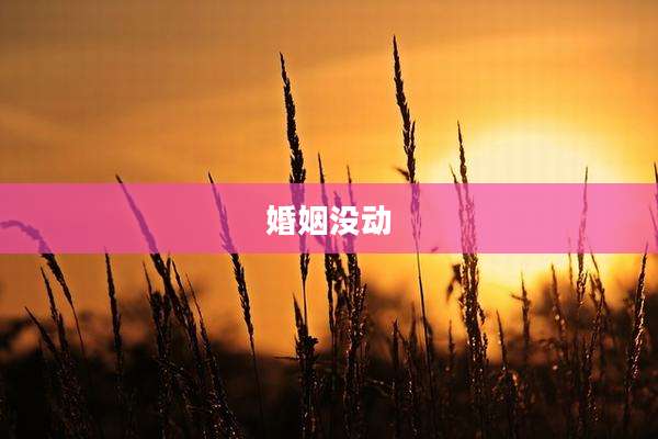 婚姻没动