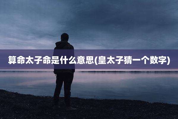 算命太子命是什么意思(皇太子猜一个数字)