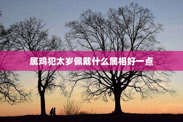属鸡犯太岁佩戴什么属相好一点
