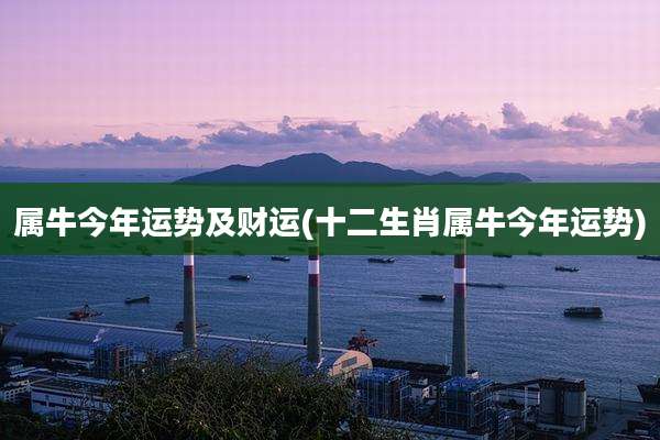 属牛今年运势及财运(十二生肖属牛今年运势)