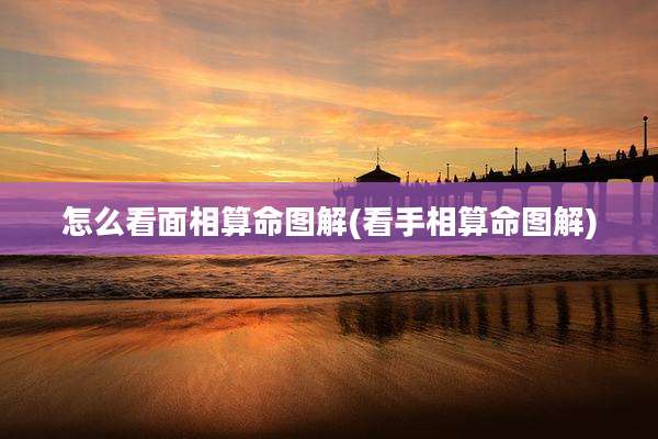 怎么看面相算命图解(看手相算命图解)