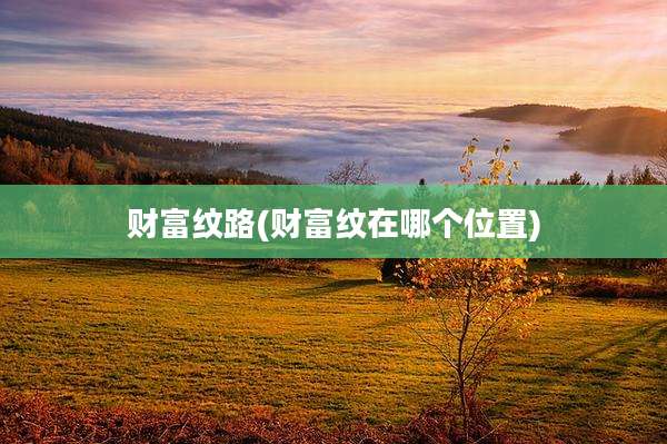 财富纹路(财富纹在哪个位置)