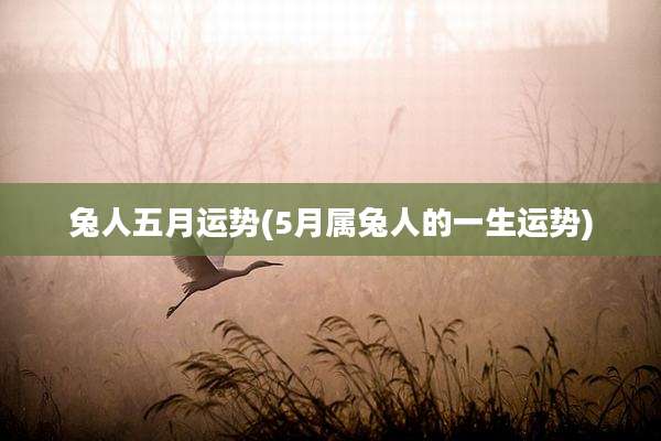 兔人五月运势(5月属兔人的一生运势)
