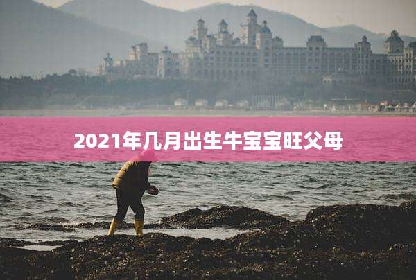 2021年几月出生牛宝宝旺父母