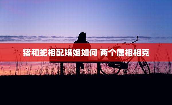 猪和蛇相配婚姻如何 两个属相相克
