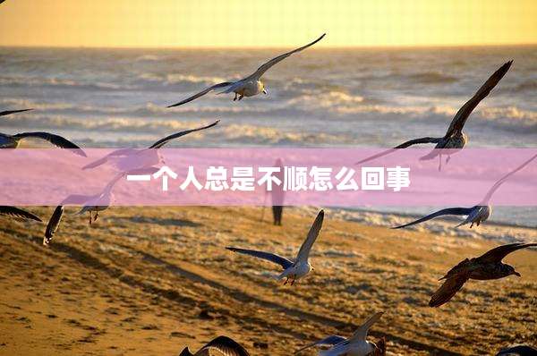 一个人总是不顺怎么回事
