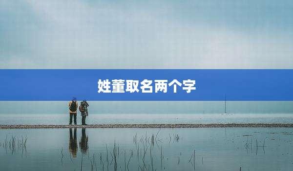 姓董取名两个字