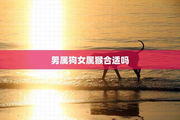 男属狗女属猴合适吗