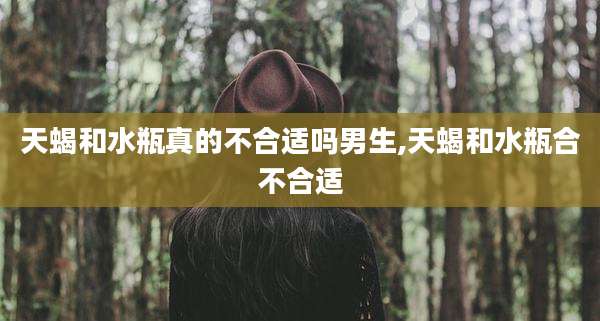 天蝎和水瓶真的不合适吗男生,天蝎和水瓶合不合适