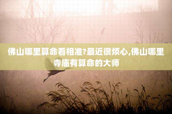 佛山哪里算命看相准?最近很烦心,佛山哪里寺庙有算命的大师