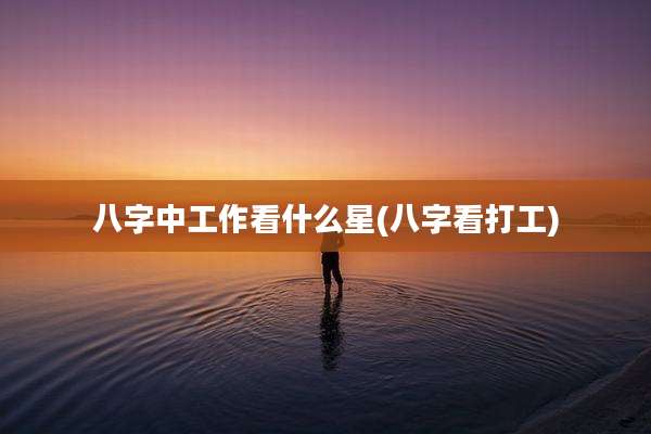八字中工作看什么星(八字看打工)