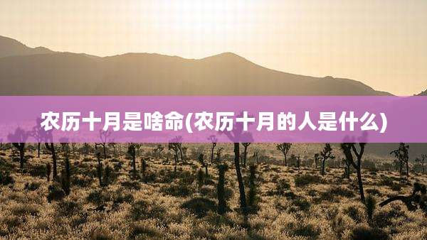 农历十月是啥命(农历十月的人是什么)