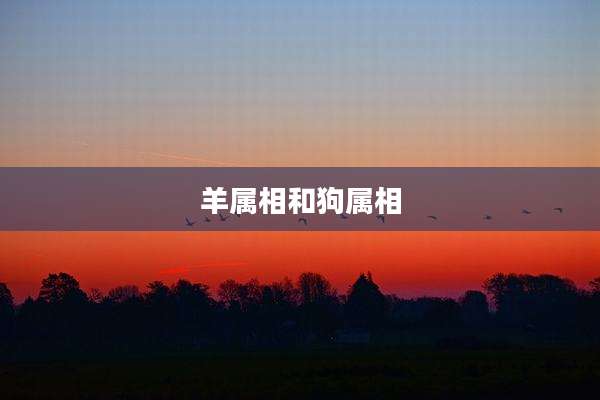 羊属相和狗属相