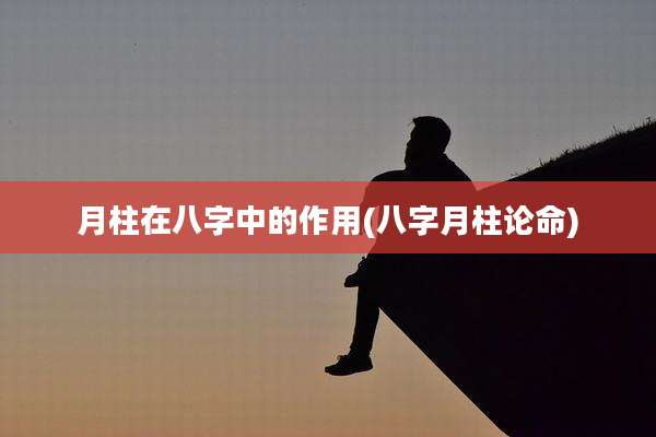 月柱在八字中的作用(八字月柱论命)