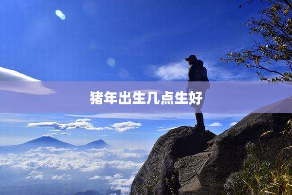 猪年出生几点生好