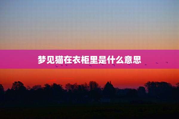 梦见猫在衣柜里是什么意思