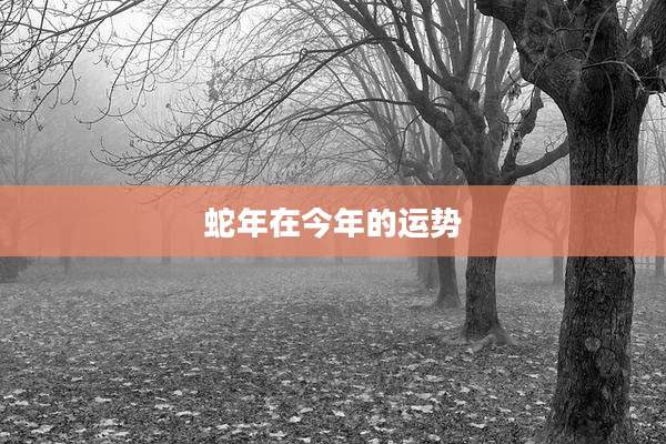 蛇年在今年的运势