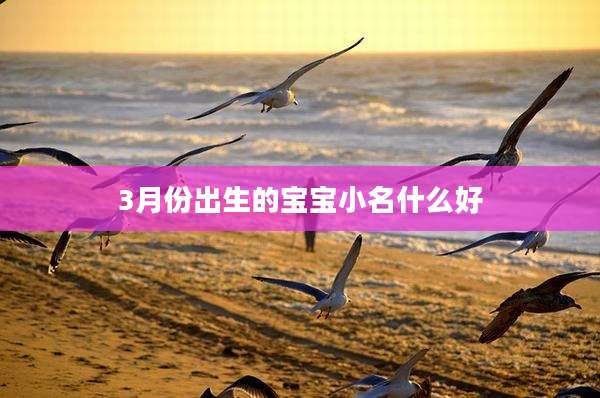 3月份出生的宝宝小名什么好