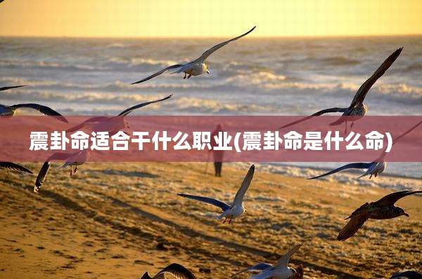 震卦命适合干什么职业(震卦命是什么命)