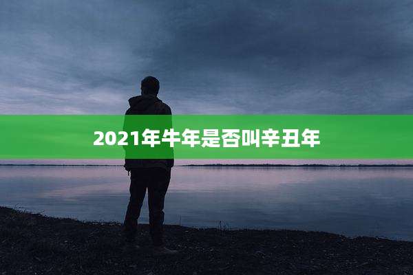 2021年牛年是否叫辛丑年