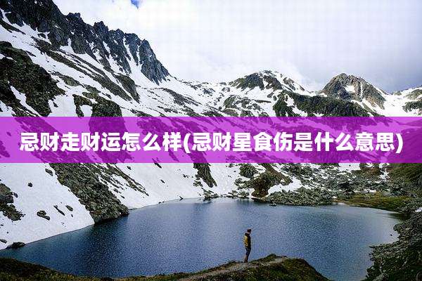忌财走财运怎么样(忌财星食伤是什么意思)