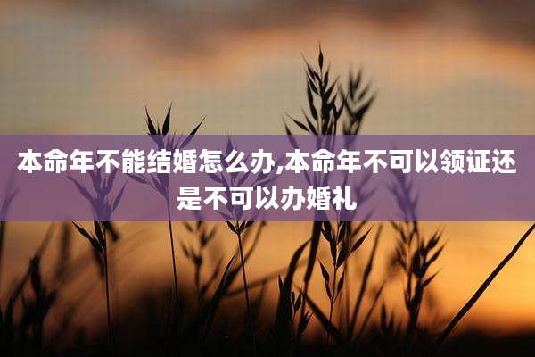 本命年不能结婚怎么办,本命年不可以领证还是不可以办婚礼