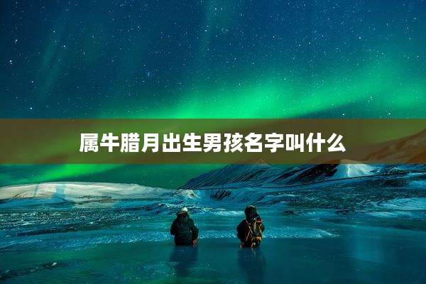 属牛腊月出生男孩名字叫什么