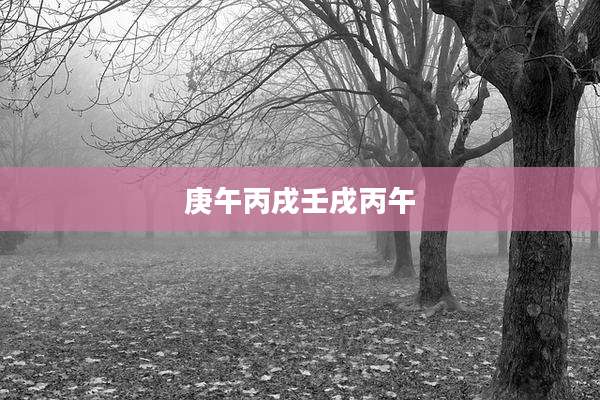 庚午丙戌壬戌丙午