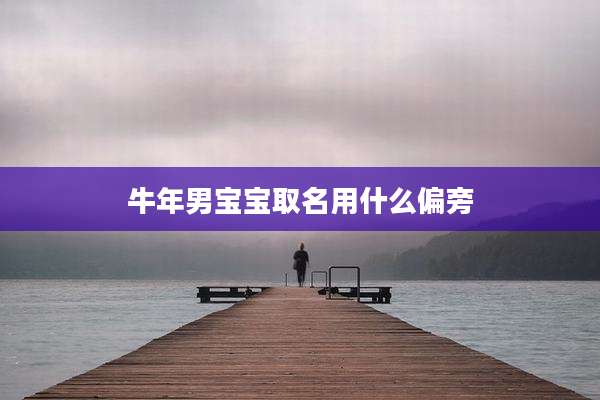 牛年男宝宝取名用什么偏旁