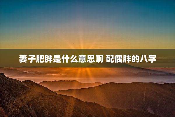 妻子肥胖是什么意思啊 配偶胖的八字
