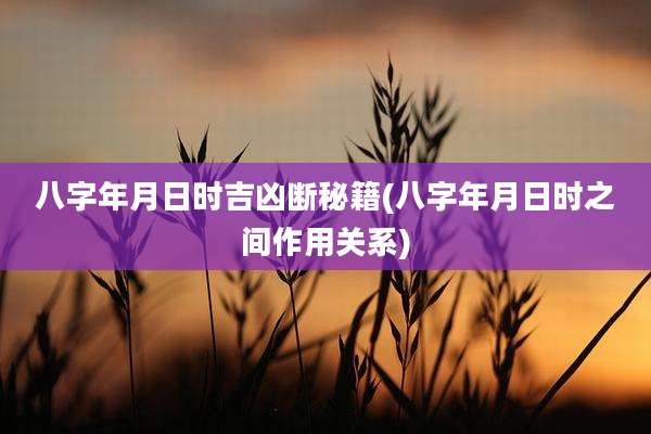 八字年月日时吉凶断秘籍(八字年月日时之间作用关系)
