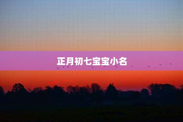正月初七宝宝小名