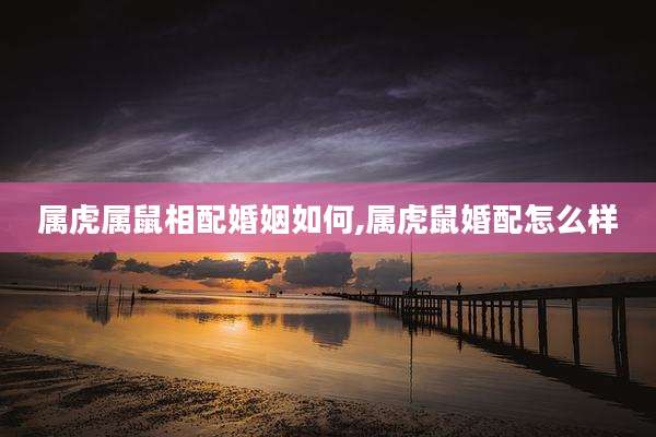 属虎属鼠相配婚姻如何,属虎鼠婚配怎么样