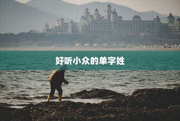 好听小众的单字姓