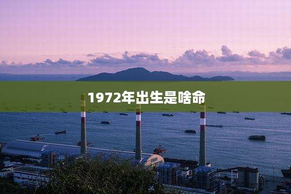 1972年出生是啥命