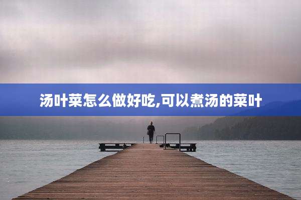 汤叶菜怎么做好吃,可以煮汤的菜叶