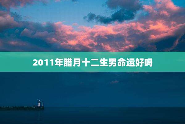 2011年腊月十二生男命运好吗