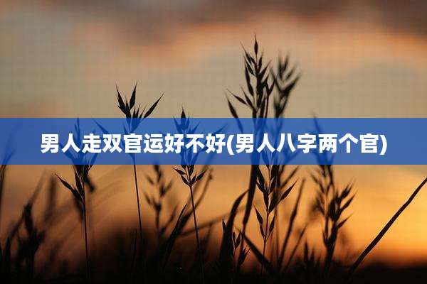 男人走双官运好不好(男人八字两个官)