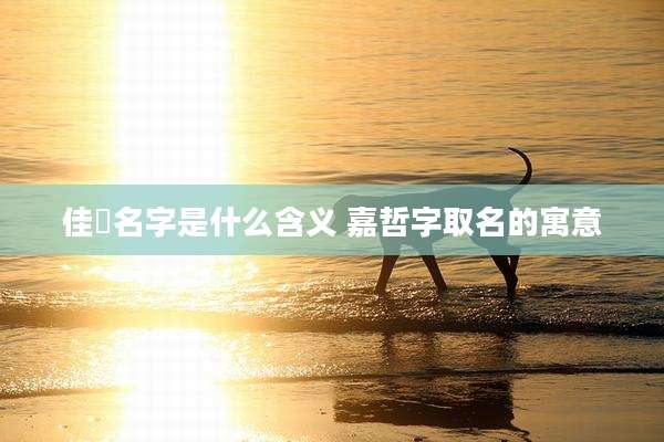 佳喆名字是什么含义 嘉哲字取名的寓意