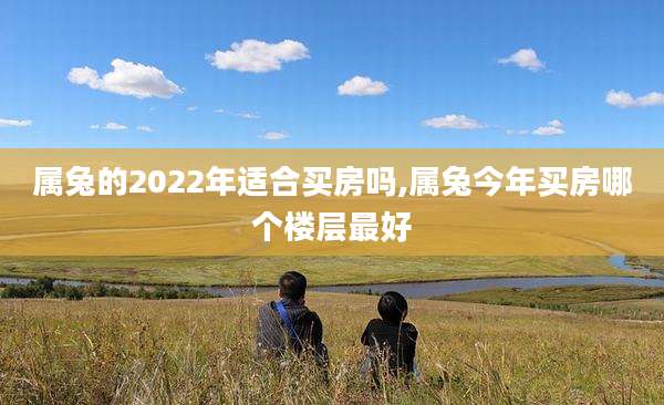属兔的2022年适合买房吗,属兔今年买房哪个楼层最好